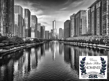Trump Tower and Chicago River Skyline M - Mabry Campbell