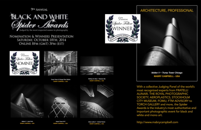 2014-Black-And-White-Spider-Awards-Collage-Mabry-Campbell