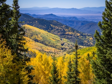 Fall-in-Santa-Fe-National-Forest-Mary-Campbell