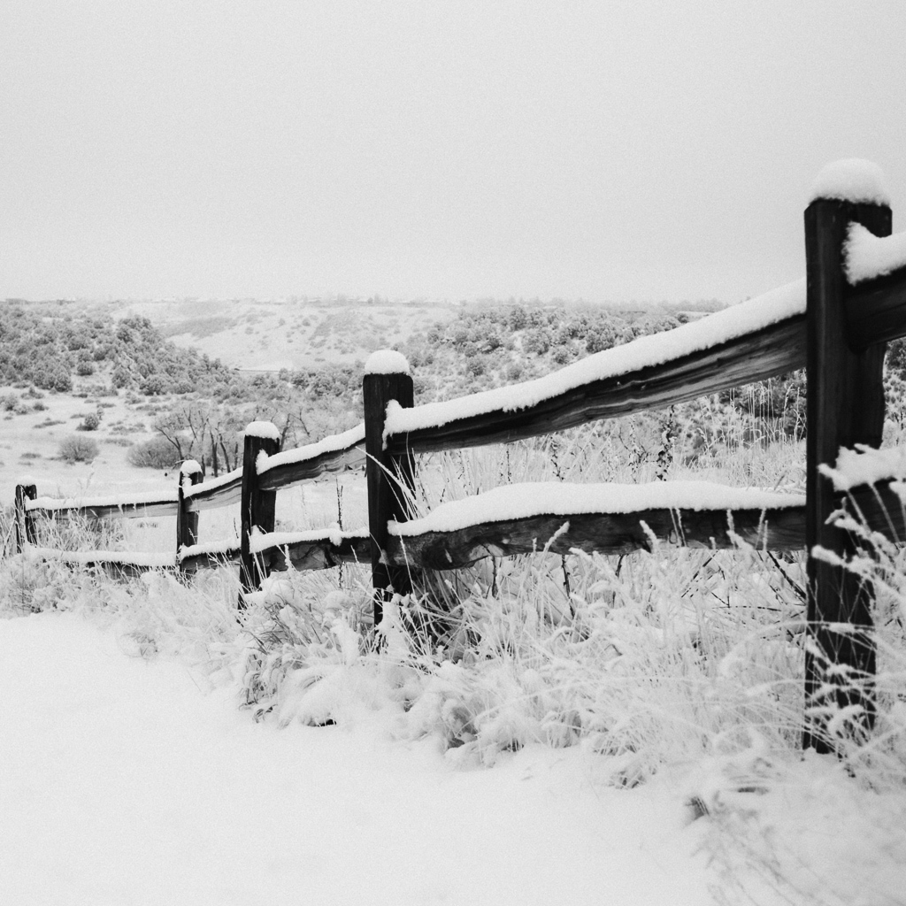 fence-in-snow-mabry-campbell-lr.jpg